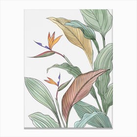 Bird Of Paradise Canvas Print