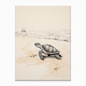 Detailed Sepia Sea Turtles On Beach  2 Canvas Print
