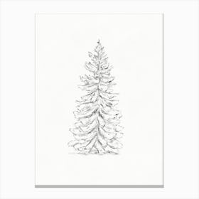Fir Tree Pencil Sketch Canvas Print