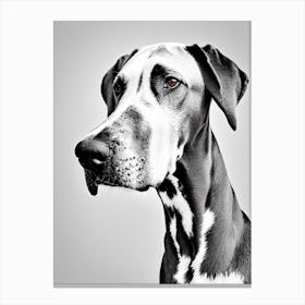 Great Dane B&W Pencil dog Canvas Print