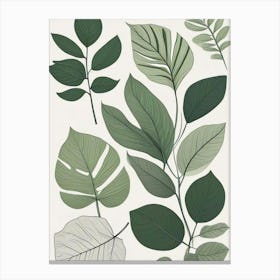 Greenery Clutter Botanical Art Print (1) Canvas Print