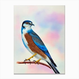Eurasian Sparrowhawk Watercolour Bird Canvas Print