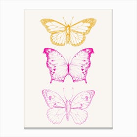 Butterflies On A White Background 1 Canvas Print