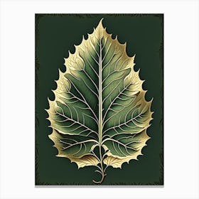 Birch Leaf Vintage Botanical 1 Canvas Print