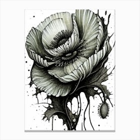 Black And White Poppy Canvas Print