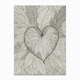 Heart Of Leaves 3 Canvas Print