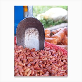 Beans at the Market Canvas Print