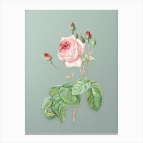 Vintage Cabbage Rose Botanical Art on Mint Green n.0898 Canvas Print