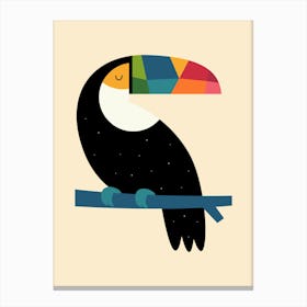Rainbow Toucan Canvas Print