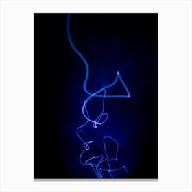 Light Painting Canvas Print