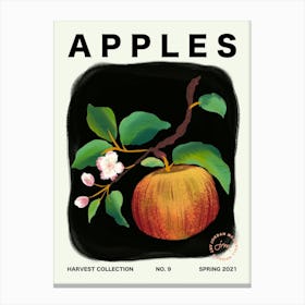Apples Fruit Kitchen Typography Canvas Print