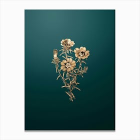 Gold Botanical Portulaca Splendens Flower Branch on Dark Teal n.2094 Canvas Print