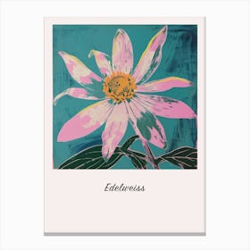 Edelweiss Square Flower Illustration Poster Canvas Print