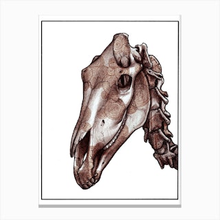 Horse Skull Red Canvas Print