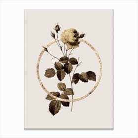 Gold Ring Provence Rose Glitter Botanical Illustration n.0143 Canvas Print