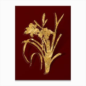 Vintage Orange Day Lily Botanical in Gold on Red Canvas Print
