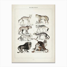 Vintage Oken 2 Wildkatzen Canvas Print