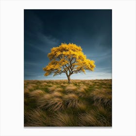 Yellow Tree In A Field Canvas Print