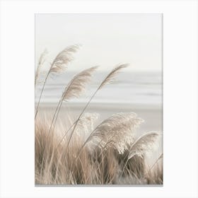 Pampas Grass At The Coast Canvas Print