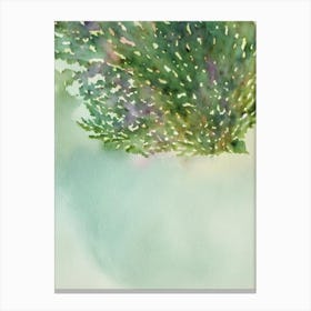 Acropora Horrida Storybook Watercolour Canvas Print