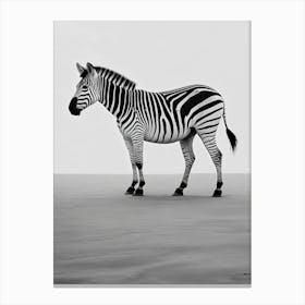 Black & White Zebra Canvas Print