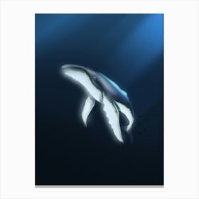 Humpback Whale Canvas Print