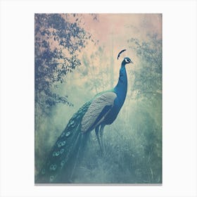 Turquoise Cyanotype Inspired Peacock In The Grass 2 Canvas Print