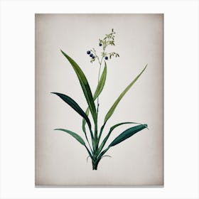 Vintage Flax Lilies Botanical on Parchment n.0796 Canvas Print