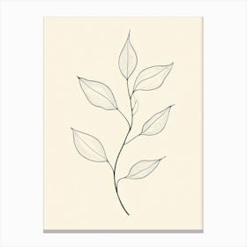 Leaf On A Branch 2 Canvas Print