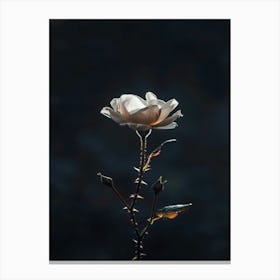 White Rose On A Stalk Canvas Print