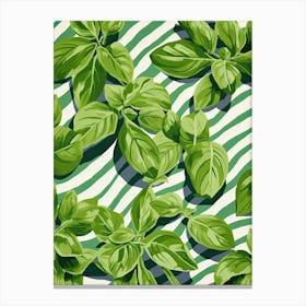 Basil Summer Illustration 11 Canvas Print