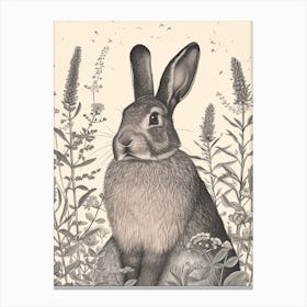 American Sable Black Blockprint Rabbit Illustration 2 Canvas Print