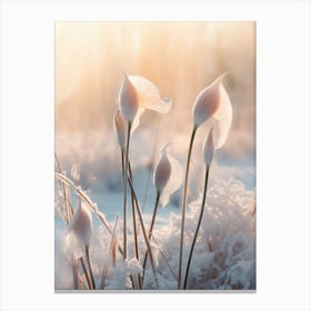 Frosty Botanical Calla Lily 2 Canvas Print