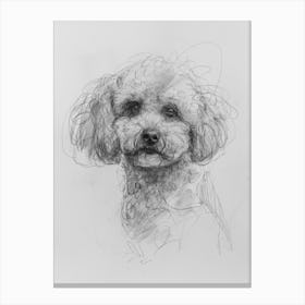 Bichon Frise Dog Charcoal Line 4 Canvas Print