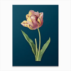 Vintage Tulip Botanical Art on Teal Blue n.0853 Canvas Print
