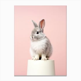 Bunny Rabbit On A Pink Background Canvas Print