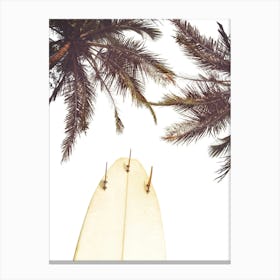 Surfboard And Palm Trees Canvas Print