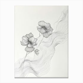 Poppy 4 Canvas Print