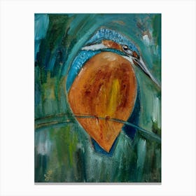 Little Bird, Kingfisher Canvas Print