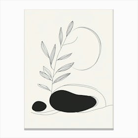 Plant On A Rock Canvas Print