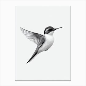 Swallow B&W Pencil Drawing 1 Bird Canvas Print