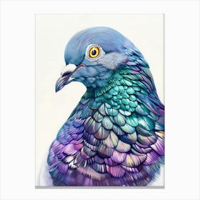 Pigeon 14 Canvas Print