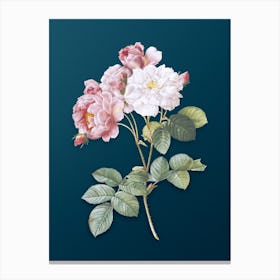 Vintage Pink Damask Rose Botanical Art on Teal Blue n.0341 Canvas Print