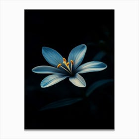 Blue Flower 4 Canvas Print