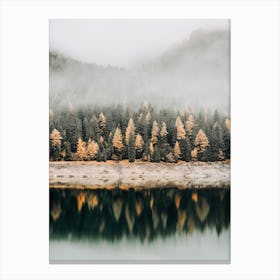 Forest Along Lake Canvas Print