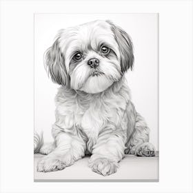 Shiba Tzu Dog, Line Drawing 2 Canvas Print