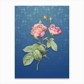 Vintage Anemone Centuries Rose Botanical on Bahama Blue Pattern n.2573 Canvas Print