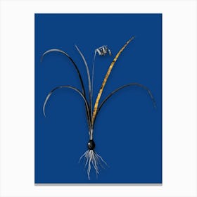 Vintage Brimeura Black and White Gold Leaf Floral Art on Midnight Blue n.0479 Canvas Print
