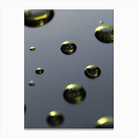 Oil Droplets Canvas Print