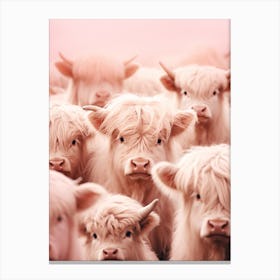 Heard Of Highland Cows Pink Realistic Photography 3 Canvas Print